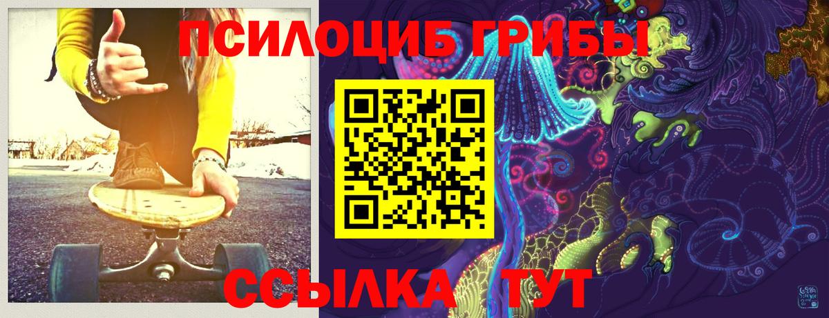 Псилоцибиновые грибы Cubensis  купить   Галлюциногенные грибы MAGIC MUSHROOMS  Тара  Вход с VPN 
